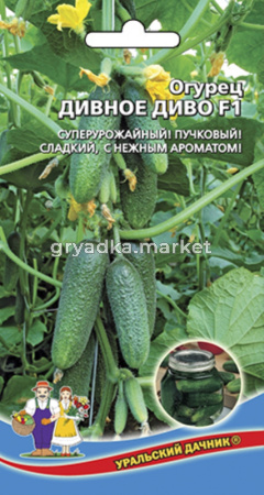 Огурец Дивное Диво F1 (УД) супеурожайный пучковый гибрид!сладкий,ароматный!