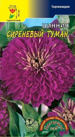 Цинния Сереневый туман Цвет.сад.