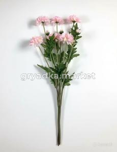 diting_result_85503994a9e511f189602606a5d7bc8c_1
