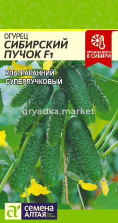 Огурец Сибирский Пучок F1-Сем Алт-цп 5 шт.