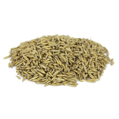 Овес 25кг-ПОДХОДИТ ДЛЯ ОСЕННЕГО ПОСЕВА-ценное кормовое растение