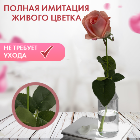 роза13 роза13