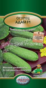Огурец Адам F1 10шт Поиск уст.к бол.обр.тирамом