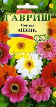 Георгина Анвинс смесь 0,3г Гавриш