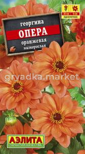 Георгина Опера оранжевая Аэлита