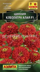 Цинния Клеопатра F1 алая (Аэлита)