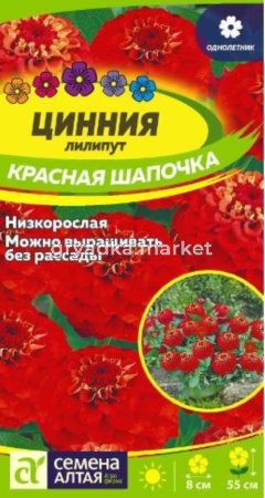 Цинния Красная шапочка лилипут 0,3г (Сем Алт)