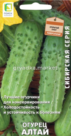 Огурец Алтай (сиб.серия) 15шт (Поиск)