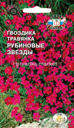 цветок Гвоздика Рубиновые звезды (вид травянка,карминово-красная) (Евро, 0,2; 11208)