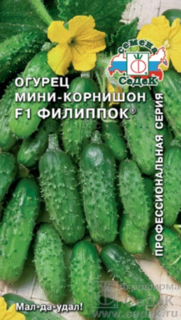 Огурец Филиппок F1 0,3г (Седек)