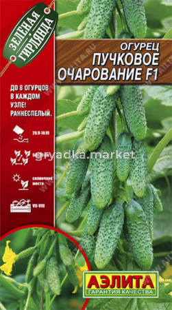 Огурец Пучковое очарование 10шт Парт Ранн (Аэлита) Зеленая гирлянда