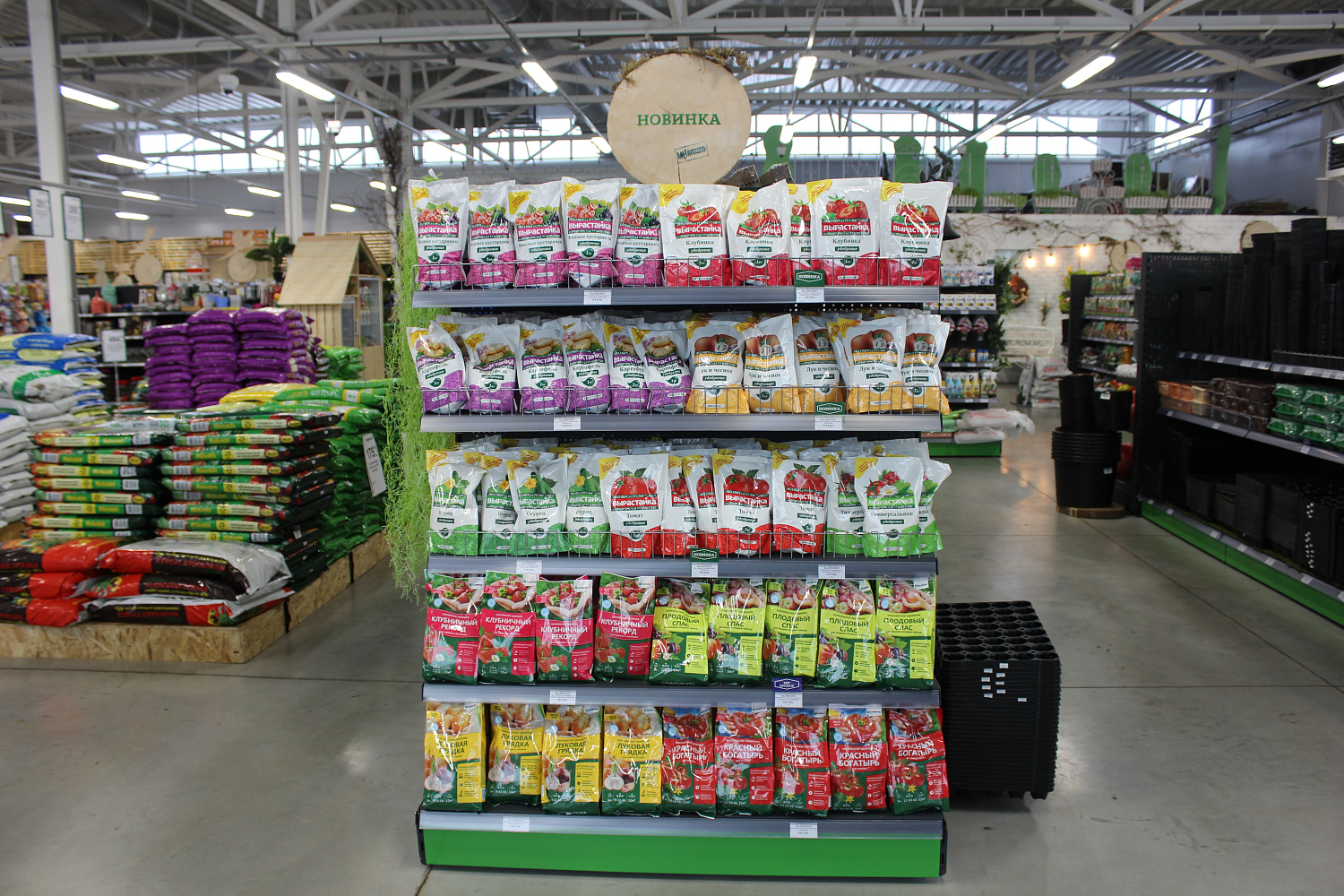 Как ухаживать за рассадой? Всего 8 пунктов, но чрезвычайно важных.