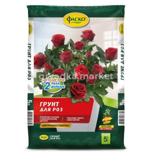Frame 63516КТ БУБи 01