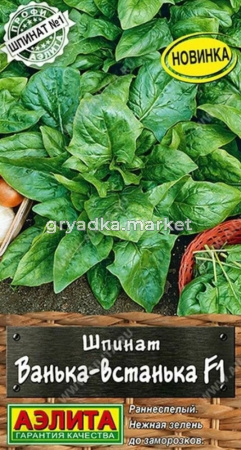 Шпинат Ванька-встанька F1 1г (Аэлита)