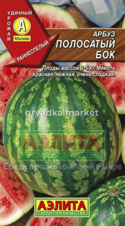 Арбуз Полосатый бок,1гр. Аэлита
