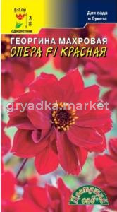 Георгина Опера F1 Красная махровая 0.05г Одн 35см (Цвет сад)