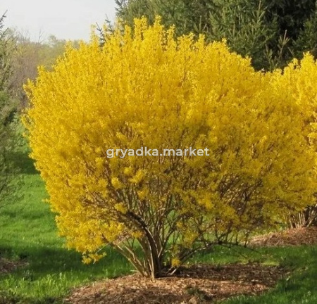 Скриншот 21-04-2026 150228