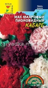 Мак Кабаре махровый пионовид.Цвет.сад.