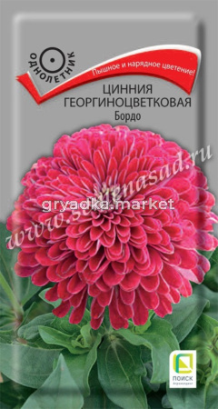 Цинния Бордо георгиноцветковая 0,4г Одн 80см (Поиск)