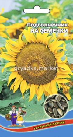 Подсолнечник на Семечки (УД) (огромная шляпа,крупные семечки)