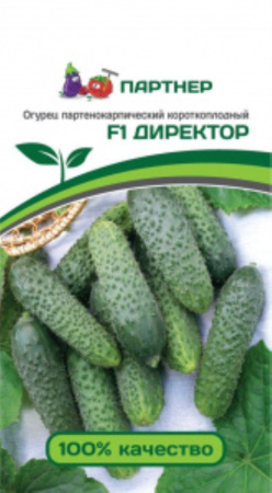 Огурец Директор F1 5шт (Партнер)