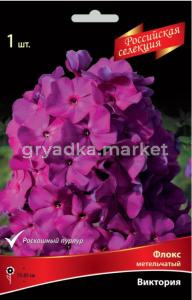 Флокс метельчатый Виктория (роскошный пурпур цветков не боится ни росы, ни прямых солнечных, 1шт, I)