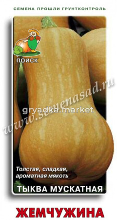 Тыква Жемчужина мускатная 10шт Ср (Поиск)