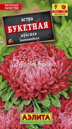Астра Букетная красная (Аэлита)