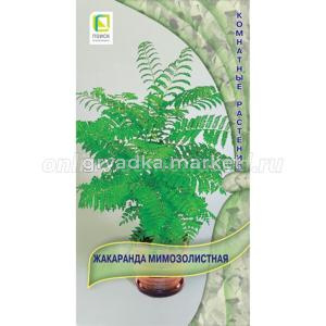 Жакаранда Мимозолистная 5шт Поиск