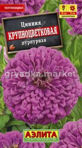 Цинния Крупноцветковая пурпурная (Аэлита)