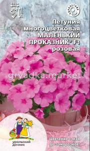 Петуния Маленький проказник F1 многоцветковая розовая 12шт 35см (УД)