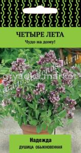 Душица обыкновенная Надежда 20шт (Поиск) Четыре лета