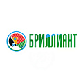 Бриллиант Бриллиант