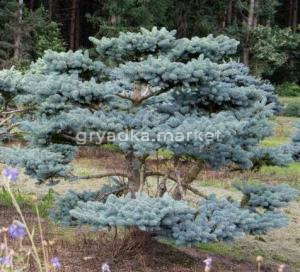 Скриншот 22-04-2026 094713