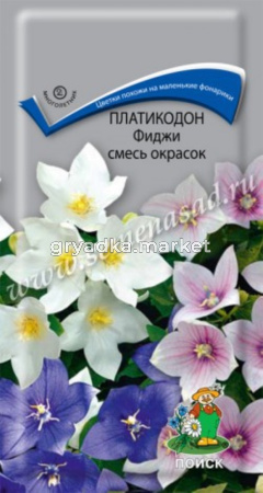 Платикодон Фиджи смесь окрасок (ЦВ) (