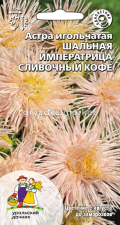 Астра Шальная императрица сливочный кофе игольчатая 0,2г Одн 70см (УД)