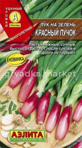 Лук на зелень Красный пучок ---  Мн Аэлита