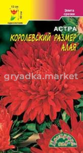 Астра Королевский размер Алая  Цвет.сад 