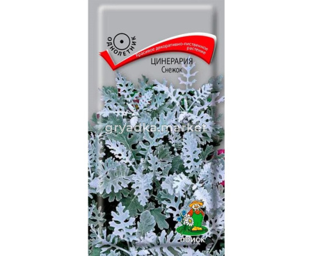 Цинерария Снежок 0,1г Поиск