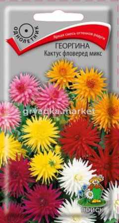 Георгина Кактус фловеред микс (ЦВ)(