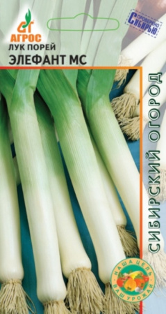 Лук порей Элефант 1г (Агрос) Германия