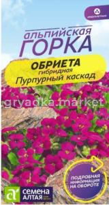 Обриета Пурпурный каскад 0,05г (Сем Алт) Альпийская горка