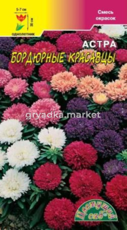 Астра Бордюрные красавцы смесь Цвет.сад