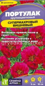 Скриншот 20-08-2026 133138