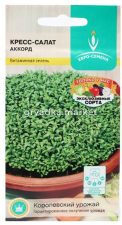 Кресс-салат Аккорд 1г Ранн (Евро-сем)