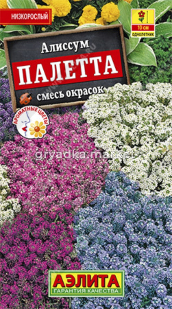 Алиссум Палетта,смесь окрасок Аэлита