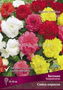 Бегония смесь Бахромчатая окрасок 3 шт.5-6 