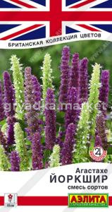 Агастахе Йоркшир, смесь сортов ---   Мн Британская коллекция цветов 0,1г