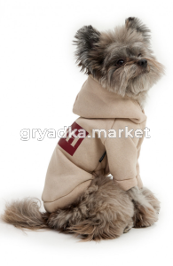 Скриншот 04.12.25_14.50.48