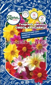 Георгина Смесь красавиц мигнон 0.2г Одн смесь 45см (Дачаtime)